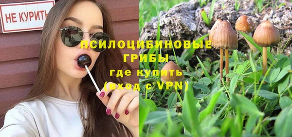 не бодяженный Армянск